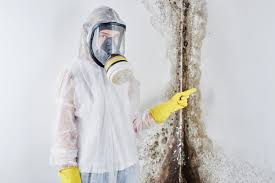 Best Water Damage & Mold Remediation  in Signal Mountain, TN